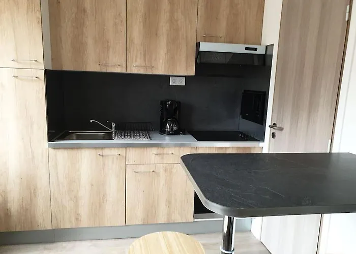 Les Falaises D Hypercentre Duplex 50m De La & Parking *